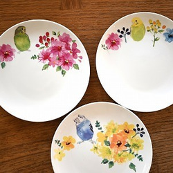 色鮮やかな鳥の絵皿 5枚セット 色鮮やかな鳥の絵皿 5枚セット
