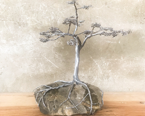 1_7e106882e180c5c9c0c0a79e58f1