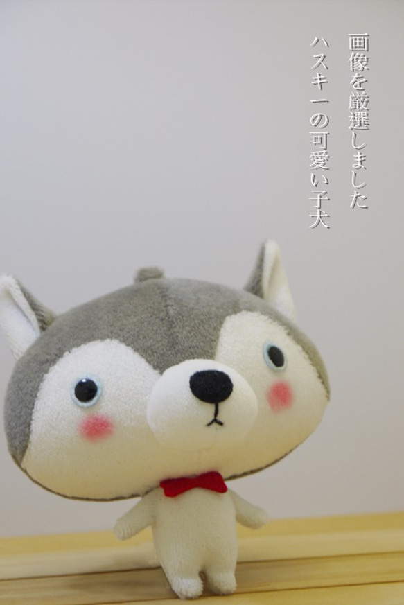 Bucute真真假假哈士齊/手工娃娃/全球限定/手工製作/生日禮物 第5張的照片