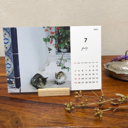 旅で出会った猫　卓上カレンダー　2021 モロッコ　チュニジア　マレーシア　タイ 1枚目の画像