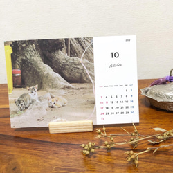 旅で出会った猫　卓上カレンダー　2021 モロッコ　チュニジア　マレーシア　タイ 8枚目の画像