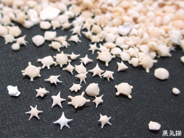 kirara*59 名入れ 猛々しい 星の砂 太陽の砂 アクセサリー ピル ケース
