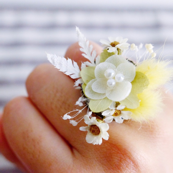 Preserved & dried flower ring 不凋乾燥花戒指 第4張的照片