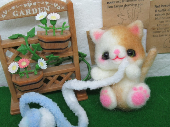 毛糸と猫 1枚目の画像