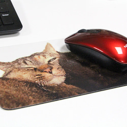 猫の絵柄のマウスパッド【２匹のにゃんこ】 2枚目の画像
