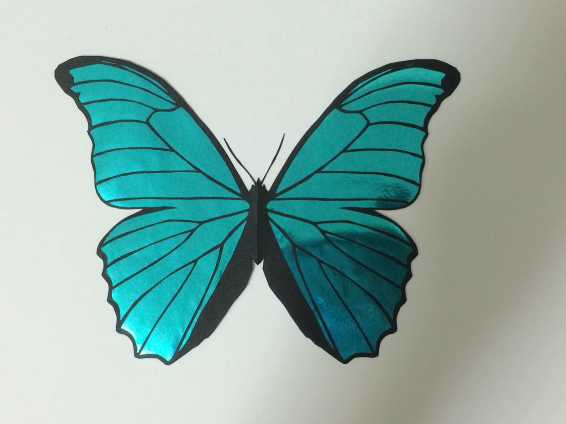 モルフォ蝶の絵, スルコウスキーモルフォ,額縁付き,原画