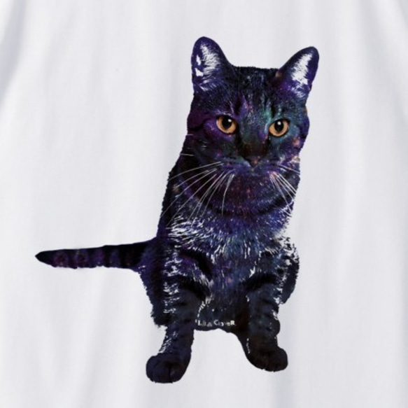 GALAXY CAT ロングTシャツ / ロンT カットソー 猫 宇宙 星 ねこ ネコ 3枚目の画像