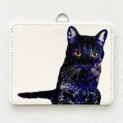 GALAXY CAT パスケース 定期入れ / 猫 IDカードケース ICカードケース 2枚目の画像