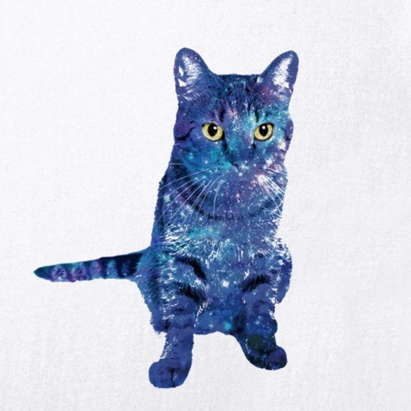 Tropical Galaxy Cat Tシャツ（men） 猫 宇宙 星 ねこ ネコ 2枚目の画像