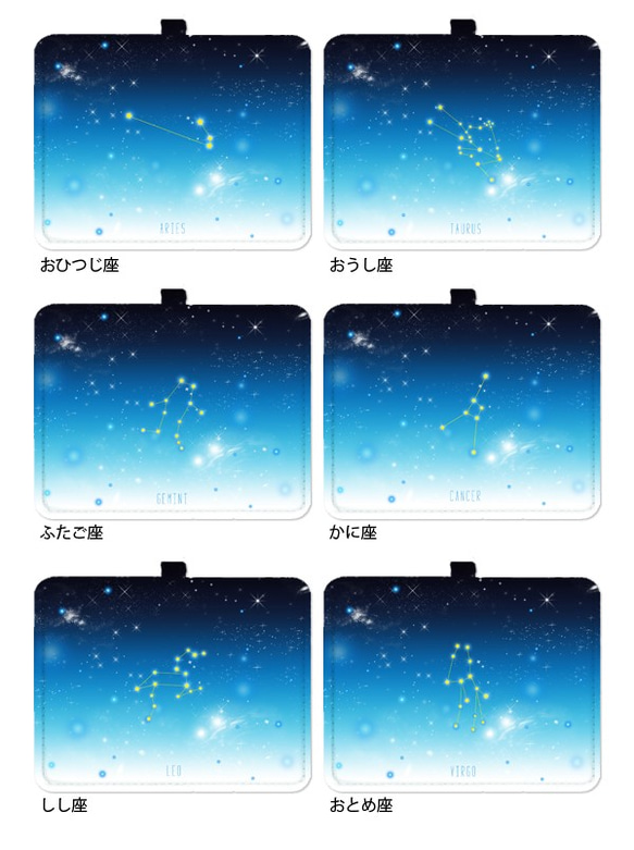 12星座+α ver.2 パスケース 定期入れ 宇宙 ICカードケース 6枚目の画像