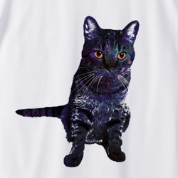 GALAXY CAT Tシャツ（men&women） 3枚目の画像