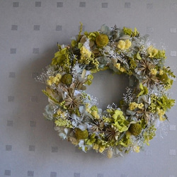 芽吹きのwreath 4枚目の画像