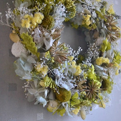 芽吹きのwreath 5枚目の画像