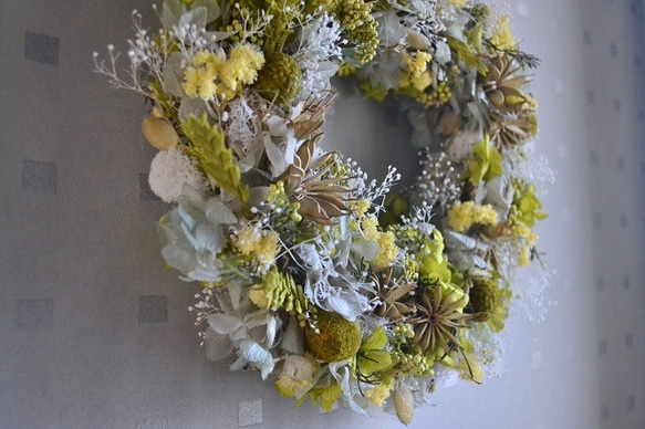 芽吹きのwreath 5枚目の画像