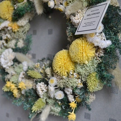 ひだまりの野原wreath 5枚目の画像