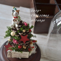 ガラスドーム＊猫とクリスマスツリー 1枚目の画像