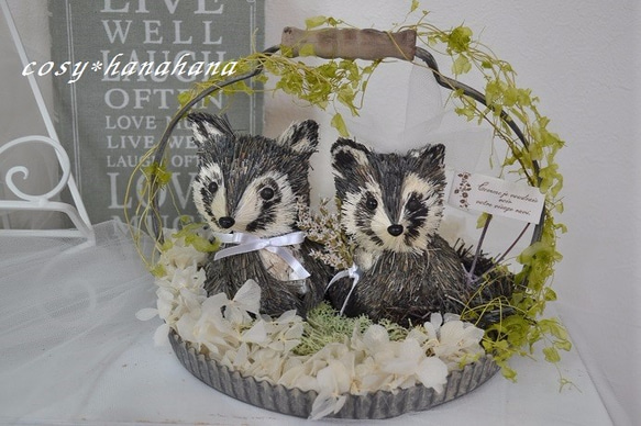 アライグマのwedding 1枚目の画像