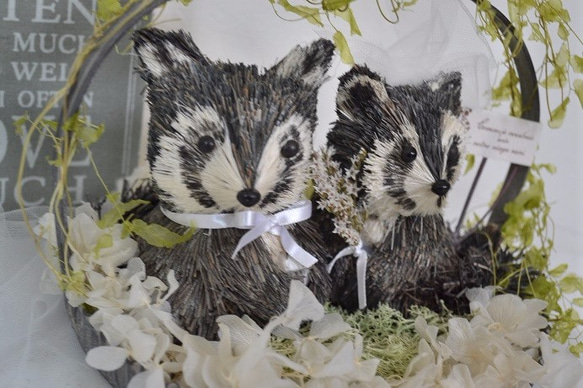 アライグマのwedding 2枚目の画像