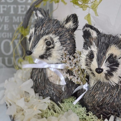 アライグマのwedding 5枚目の画像