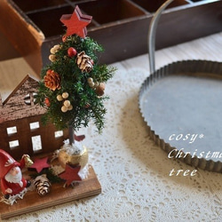 聖誕老人小房子裡的聖誕樹 第1張的照片