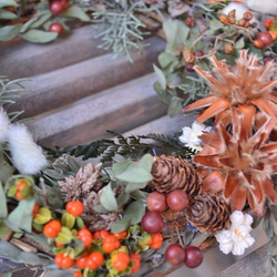 秋の森＊実物wreath 2枚目の画像