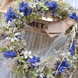 デルフィニュームとフランネルフラワーのwreath 2枚目の画像