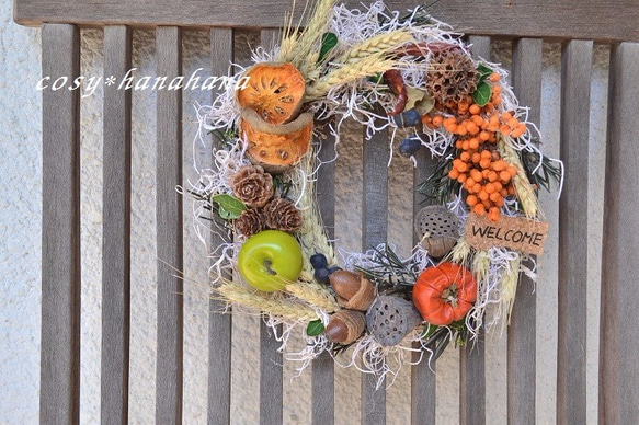 ポタジェのwreath 1枚目の画像