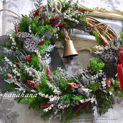 トウガラシとハスの実wreath 1枚目の画像