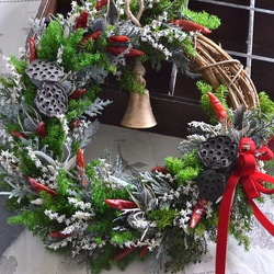 トウガラシとハスの実wreath 3枚目の画像