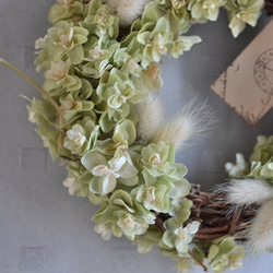 柏葉紫陽花dry　wreath 4枚目の画像
