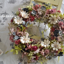 コスモス畑のwreath 1枚目の画像