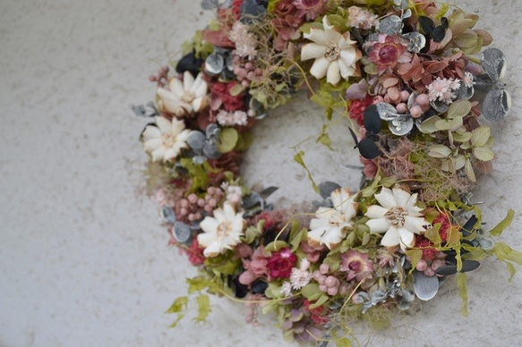 コスモス畑のwreath 6枚目の画像