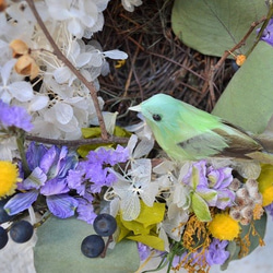 春を告げる小鳥wreath 2枚目の画像