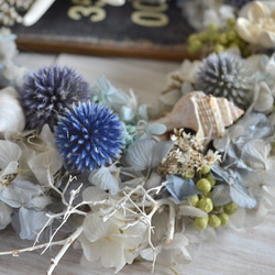 薊和殼的藍色花環 第3張的照片
