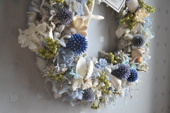 薊和殼的藍色花環 第5張的照片