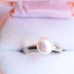 マカロンPearl　Silver950　Matte　Ring 3枚目の画像