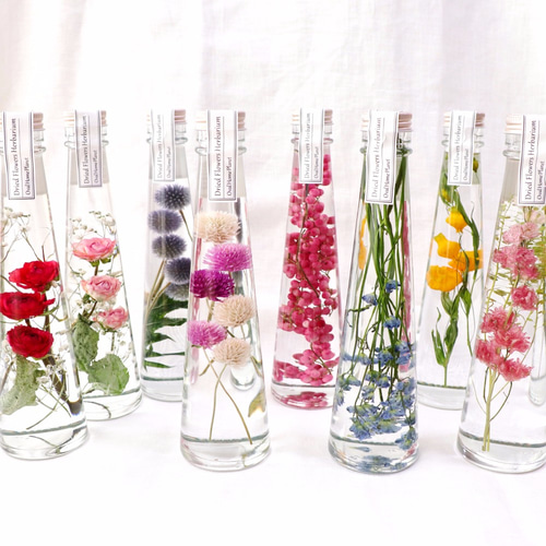 天然色のハーバリウム2本セット ハーバリウム・植物標本  