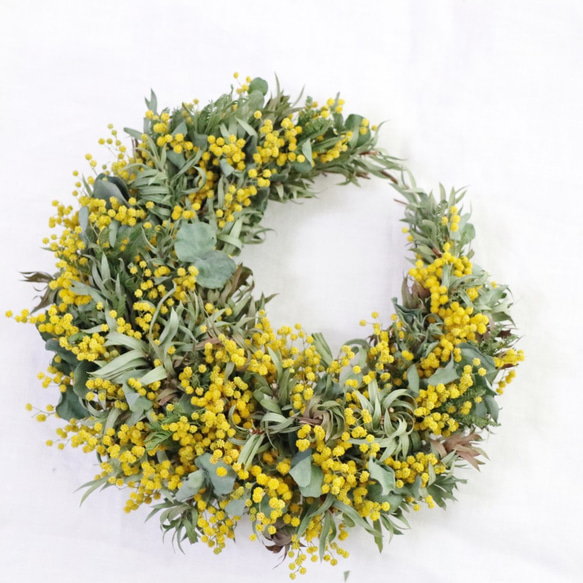 ミモザとユーカリの三日月リース ドライフラワー OvalHomePlanet 通販