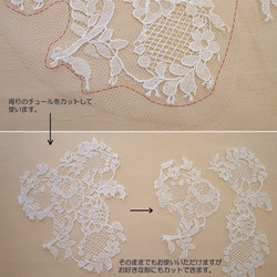  第2張的照片