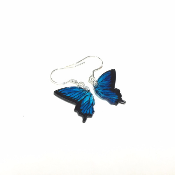 「バタフライリメンブランスIII」パラダイスアゲハチョウ/グラスアゲハチョウ。手描きのリアルな蝶。スターリングシルバーのイヤリン 3枚目の画像