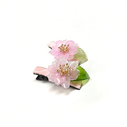 【若桑】八重櫻。櫻花小髮夾。Creema 溫柔女人節，花樣女子手作禮物 第3張的照片