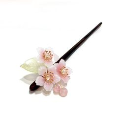 【ルオサン】春。さくらひIII。マウンテンサクラヘアピン。ピンクさくら。樹脂桜のヘアピン。木製のヘアピン 3枚目の画像