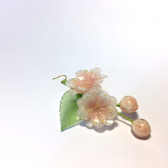 【若桑】《櫻花。盛放》八重櫻。手造樹脂櫻花耳環。浮誇系花朵耳環。 第1張的照片