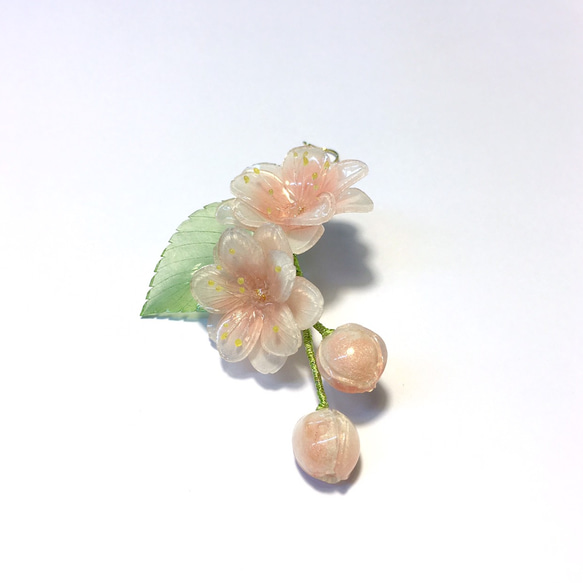 【若桑】《櫻花。盛放》八重櫻。手造樹脂櫻花耳環。浮誇系花朵耳環。 第2張的照片