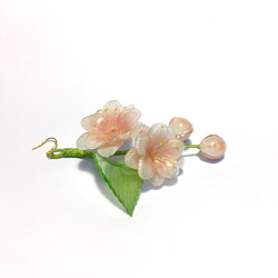 【若桑】《櫻花。盛放》八重櫻。手造樹脂櫻花耳環。浮誇系花朵耳環。 第3張的照片