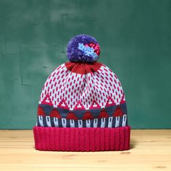 Magenta Triangle Detachable PomPom Beanie Hat 1枚目の画像