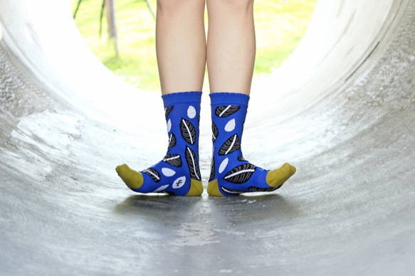 ロゼオリネアータ ナイロン靴下 - コバルトブルー 2枚目の画像