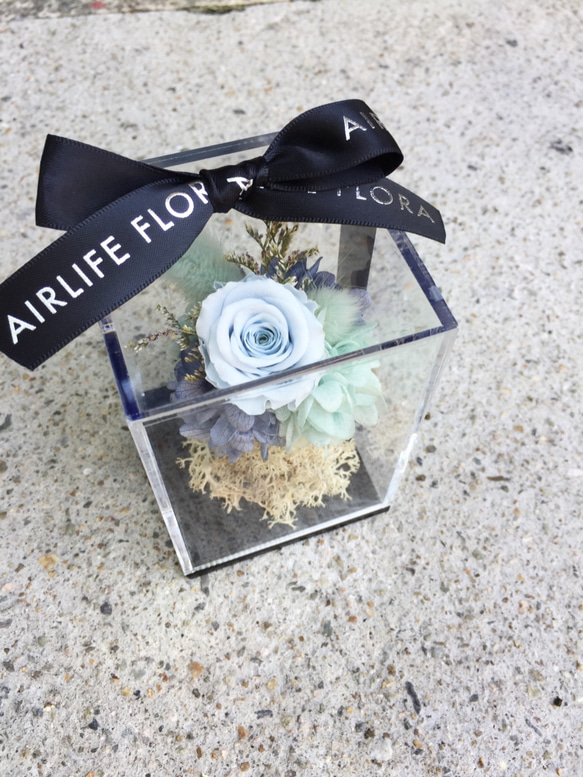 藍色永生花透明質感花盒 | 白色情人節永生花禮物 辦公室療癒小物 第2張的照片
