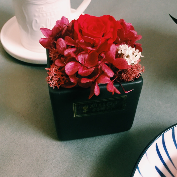 「控えめな美しさ、勇敢なコントロール」ミニ永遠の植木鉢の花| AIRLIFE FLORA Small Life Flower 2枚目の画像
