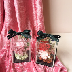 母親節限定9折優惠「 妳的愛，總是那樣的熱情滿溢 」永生康乃馨透明花禮 - AIRLIFE FLORA 小生活花朵 第2張的照片